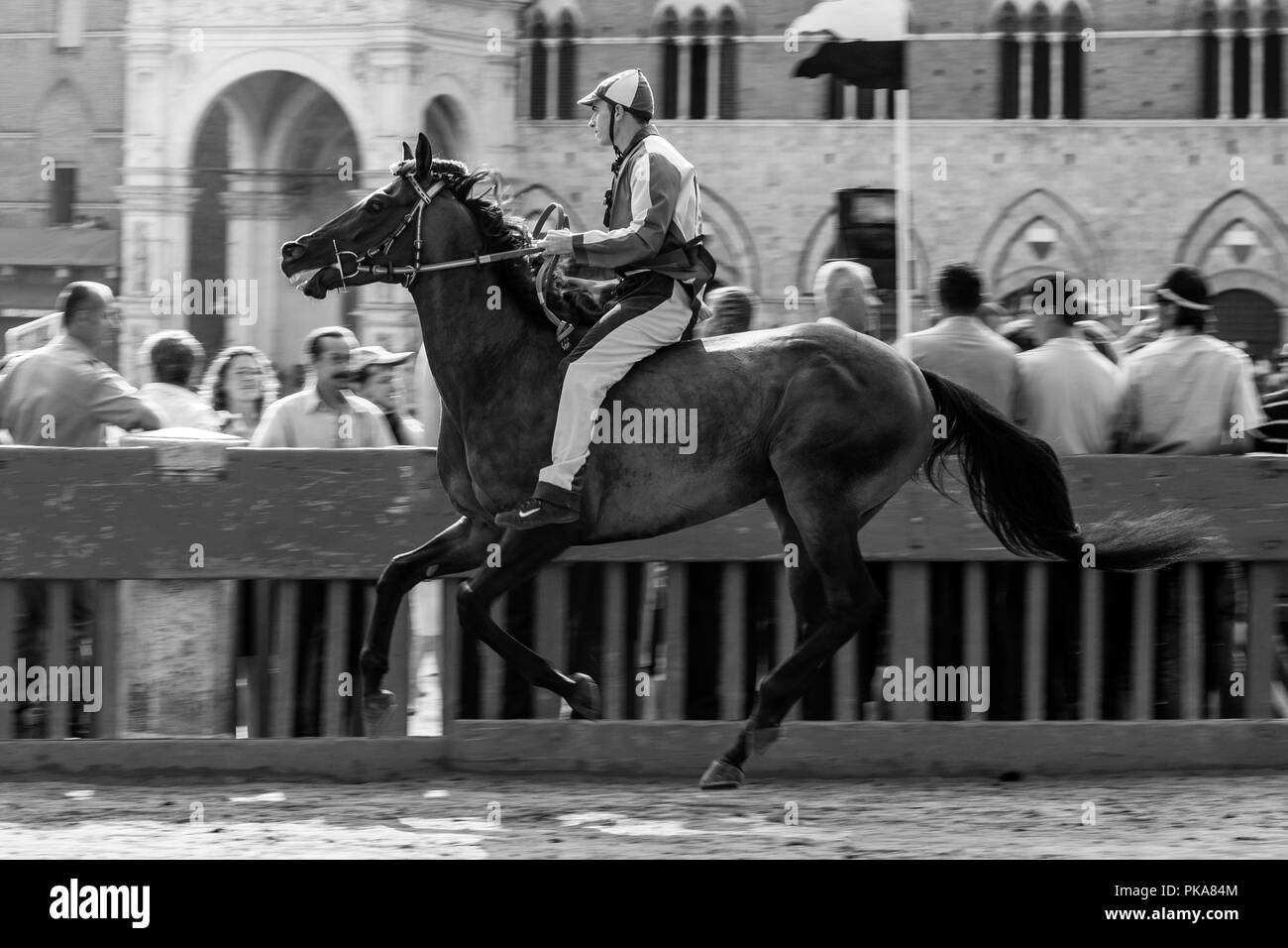 A Jockey Riding For The Bruco (Caterpillar) Contrada Takes Part In A ...