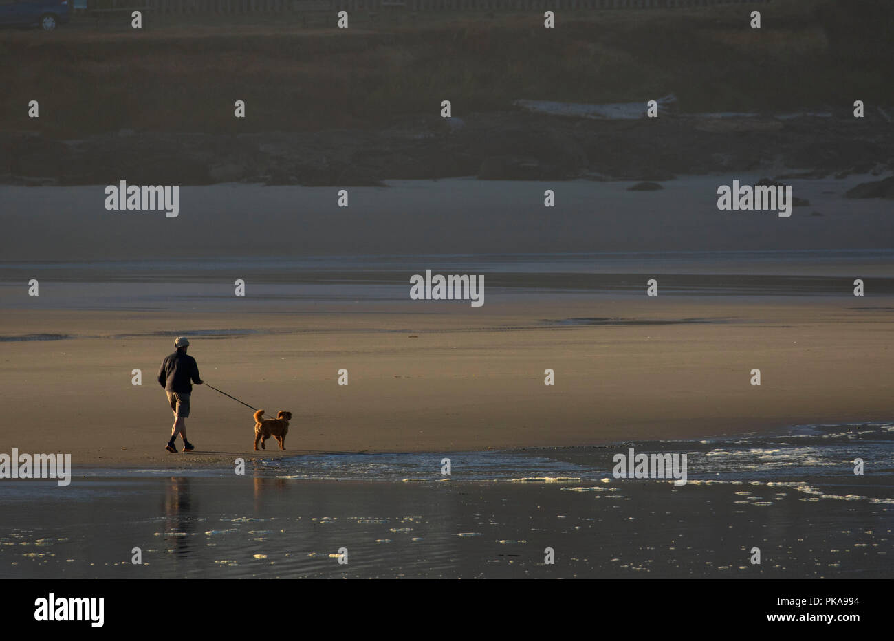 Walking dog on beach, Yachats State Park, Oregon Stock Photo