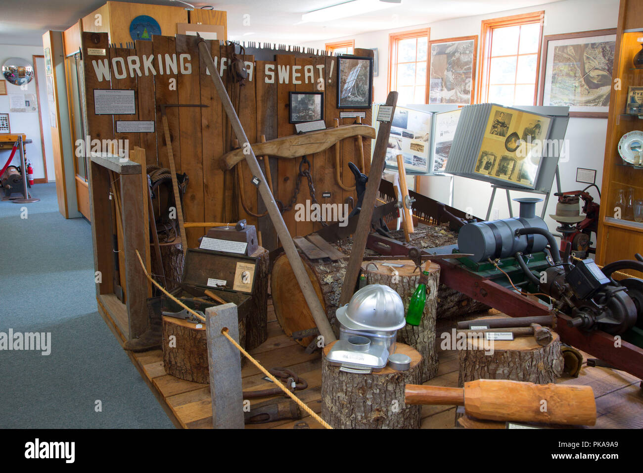 Logging exhibit, Waldport Heritage Museum, Waldport, Oregon Stock Photo