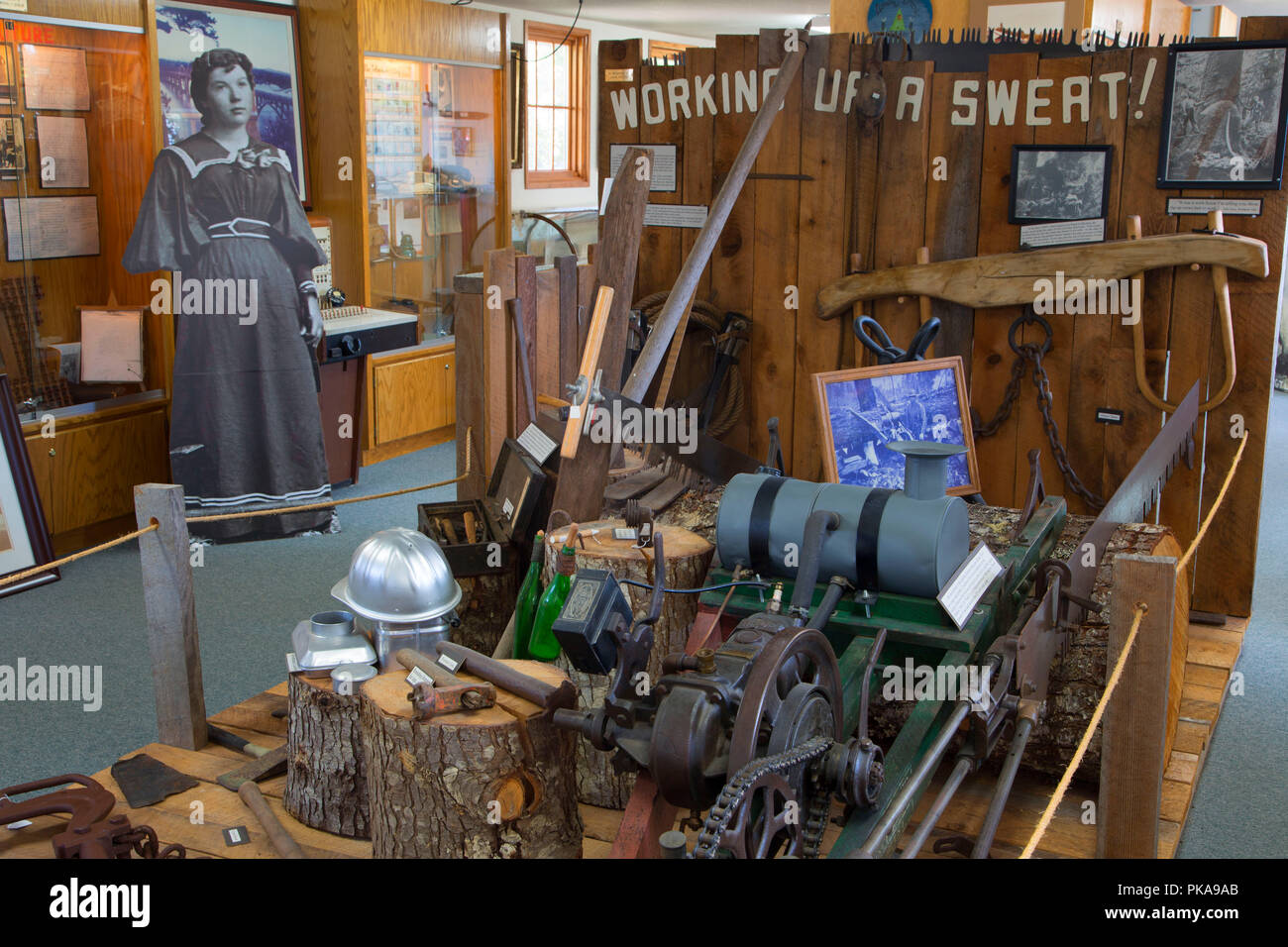 Logging exhibit, Waldport Heritage Museum, Waldport, Oregon Stock Photo