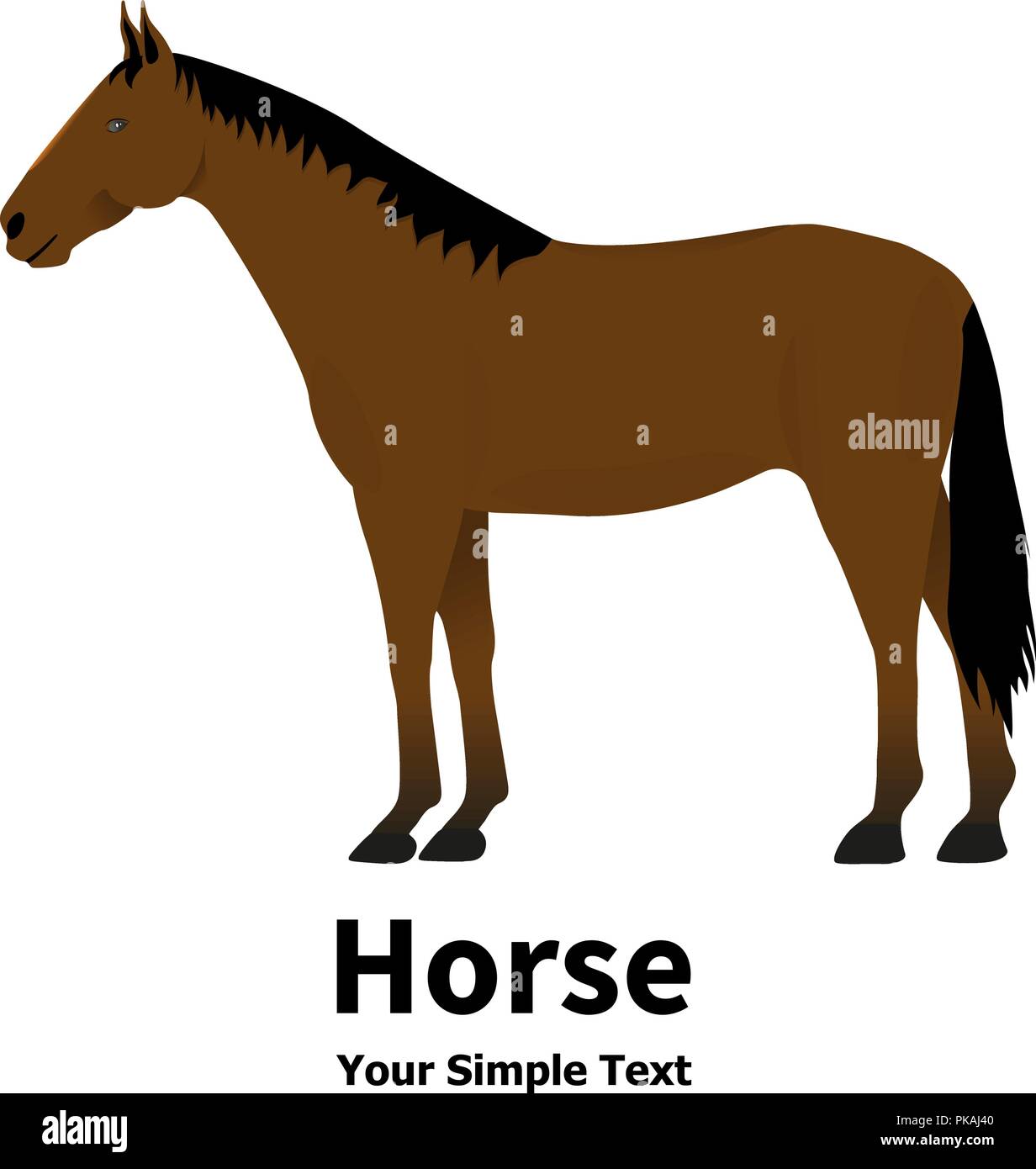 Vector illustration of a pet horse Stock Vector