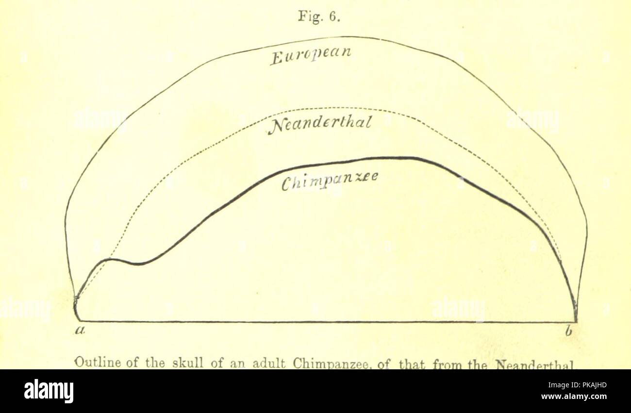 Image  from page 118 of '[The Geological Evidences of the Antiquity of Man, with remarks on theories of the origin of species by variation. Illustrated by woodcuts.]' . Stock Photo