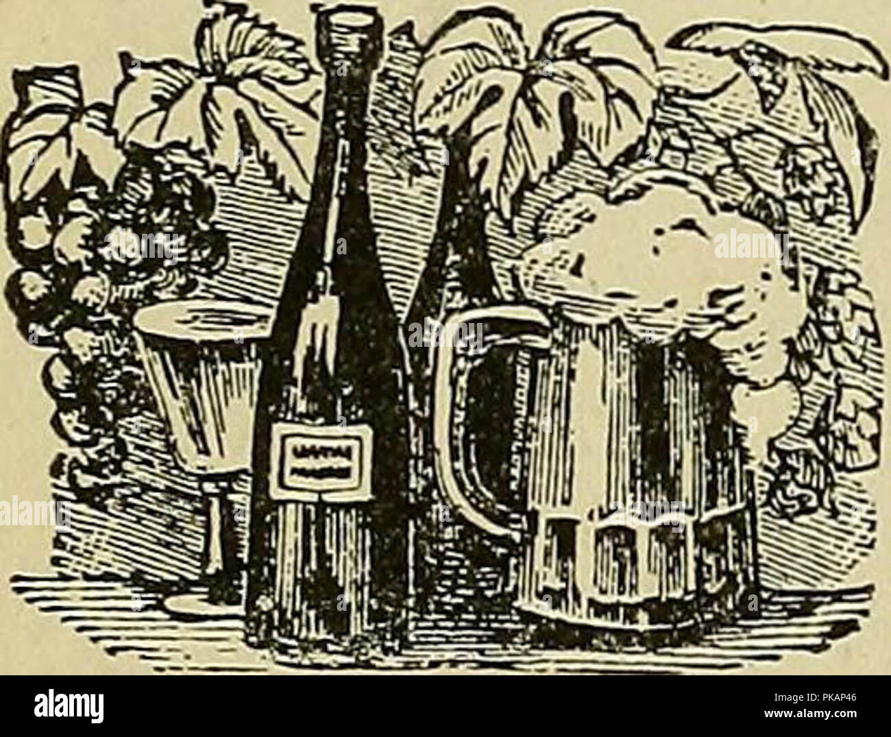 'P.J. Hannifan & Co.'s new commercial railroad and county map of New Yort State and gazetteer ..' (1897) Stock Photo