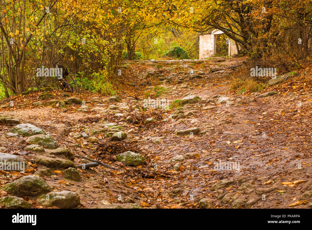 Path leading uphill hi-res stock photography and images - Alamy