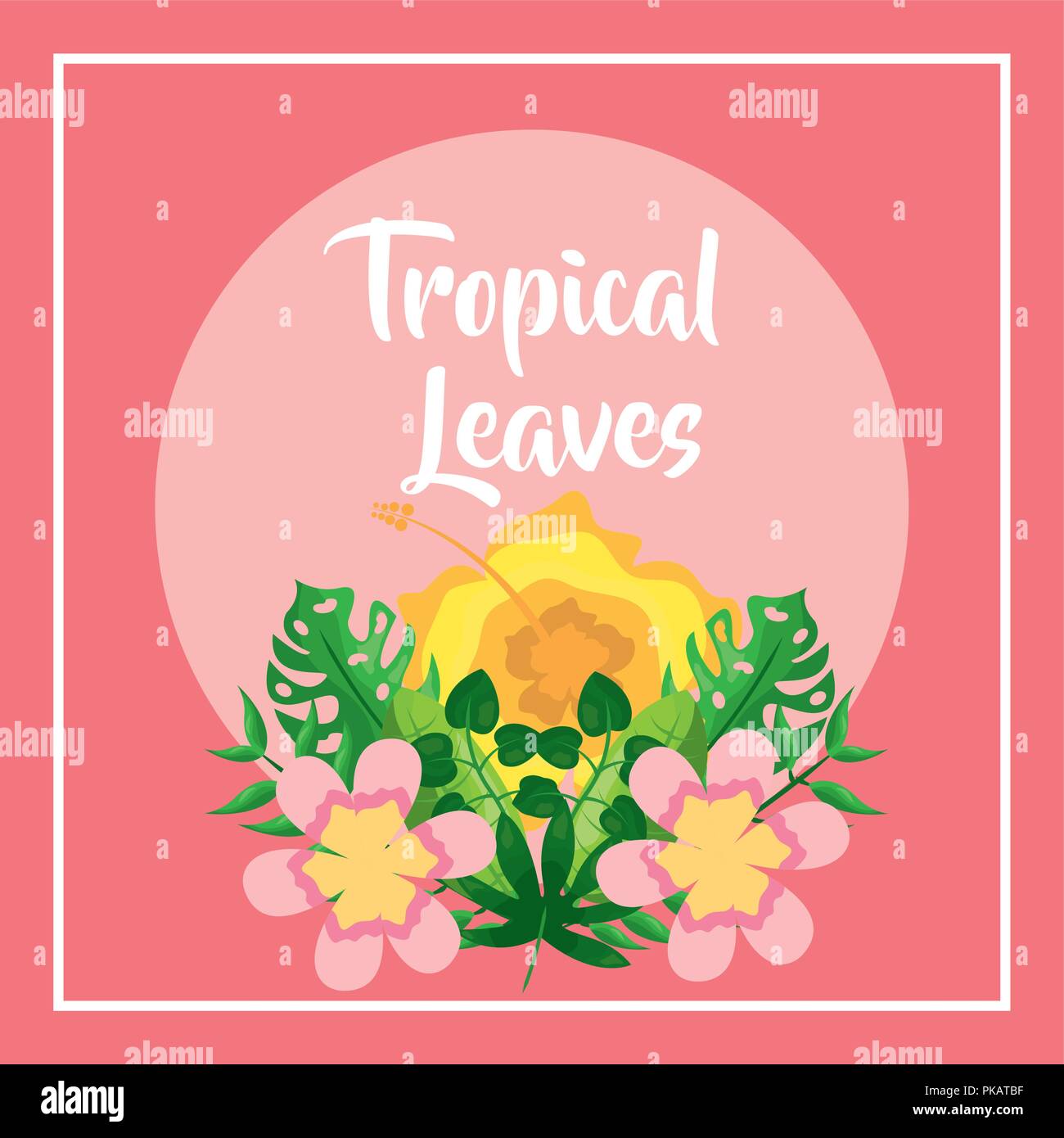 tropical leaves banner hibiscus flowers pink background vector ...