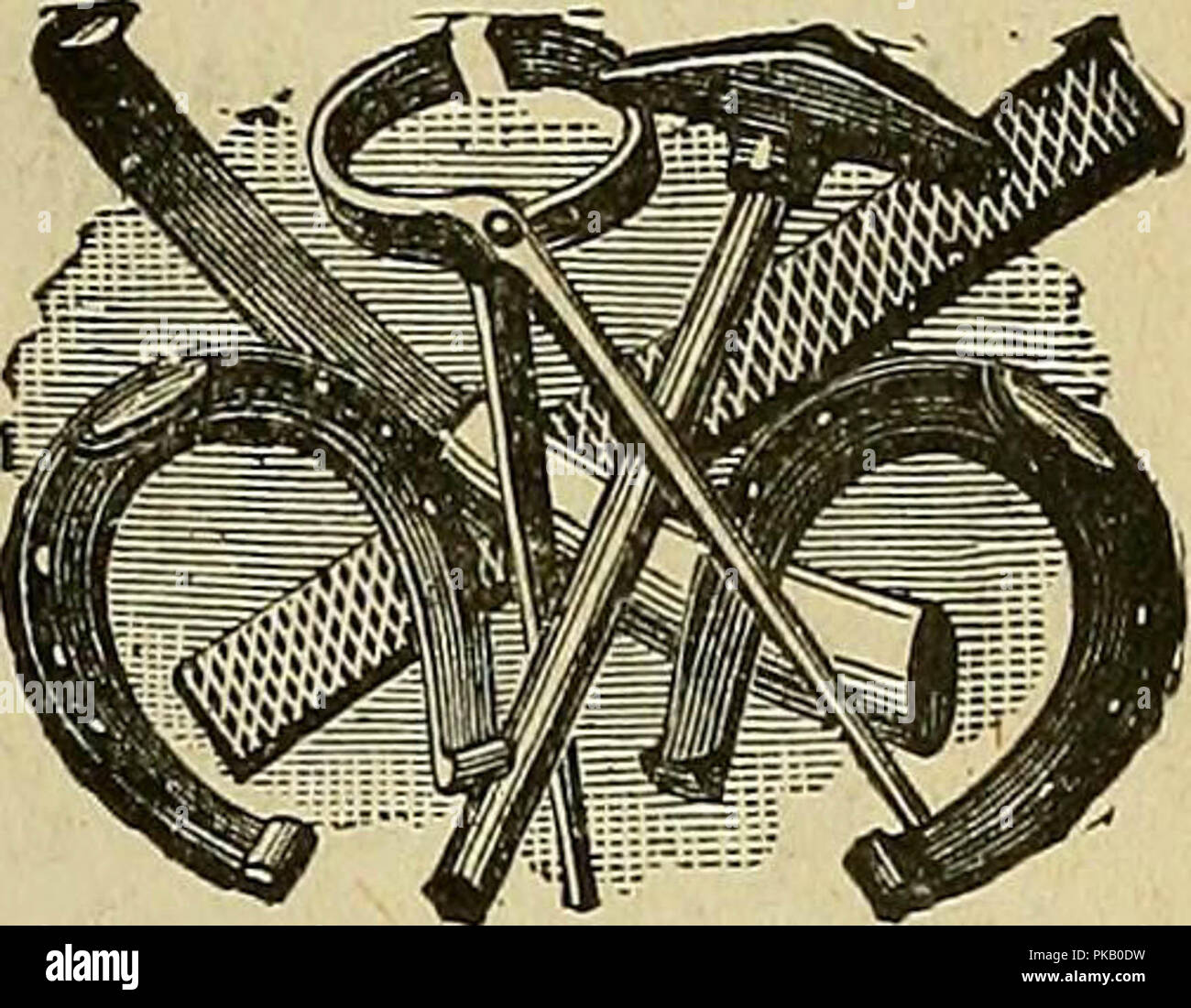 'P.J. Hannifan & Co.'s new commercial railroad and county map of New Yort State and gazetteer ..' (1897) Stock Photo