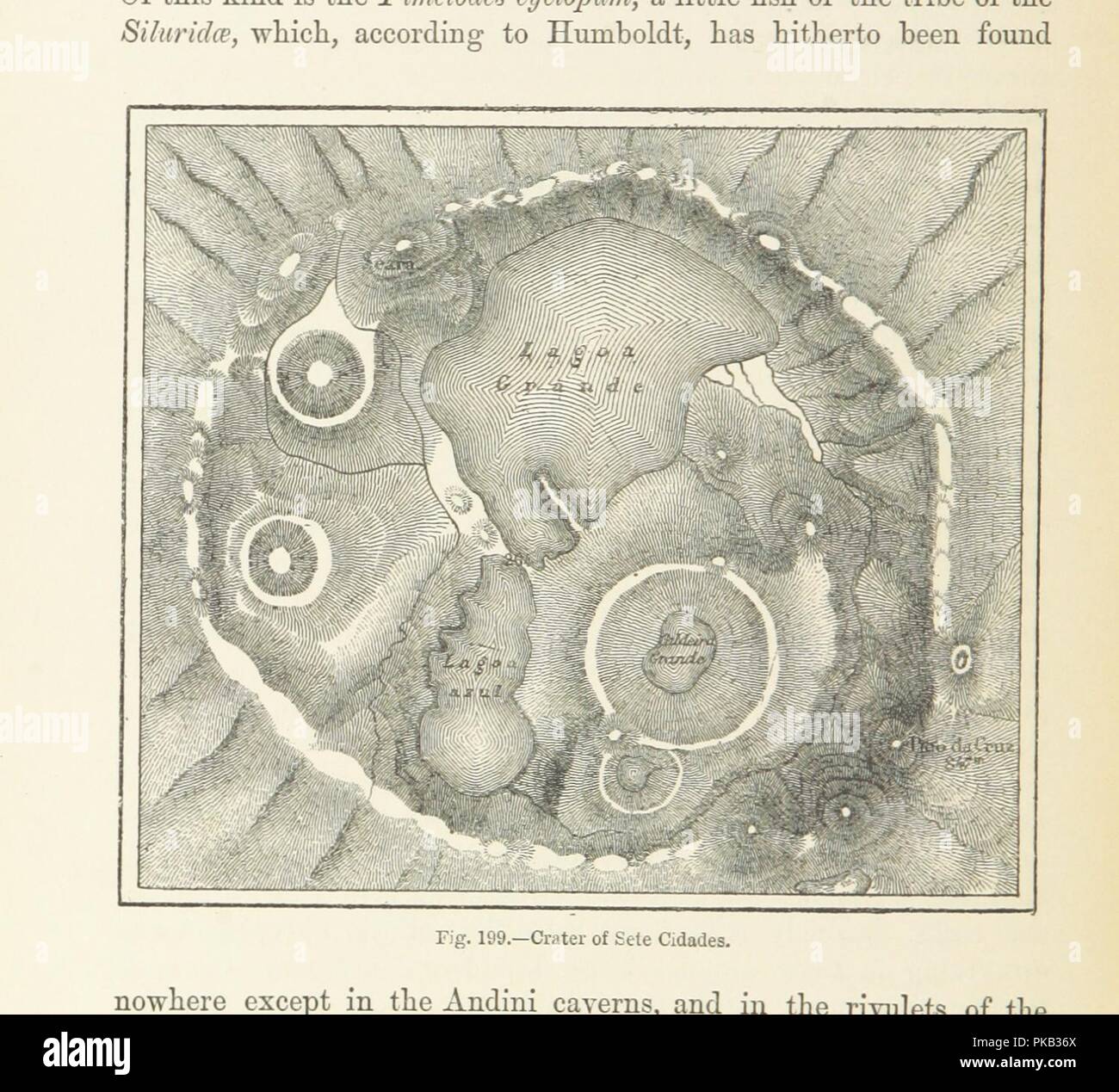 😀 Descriptive paragraph about the ocean. Descriptive Essay Of The Ocean