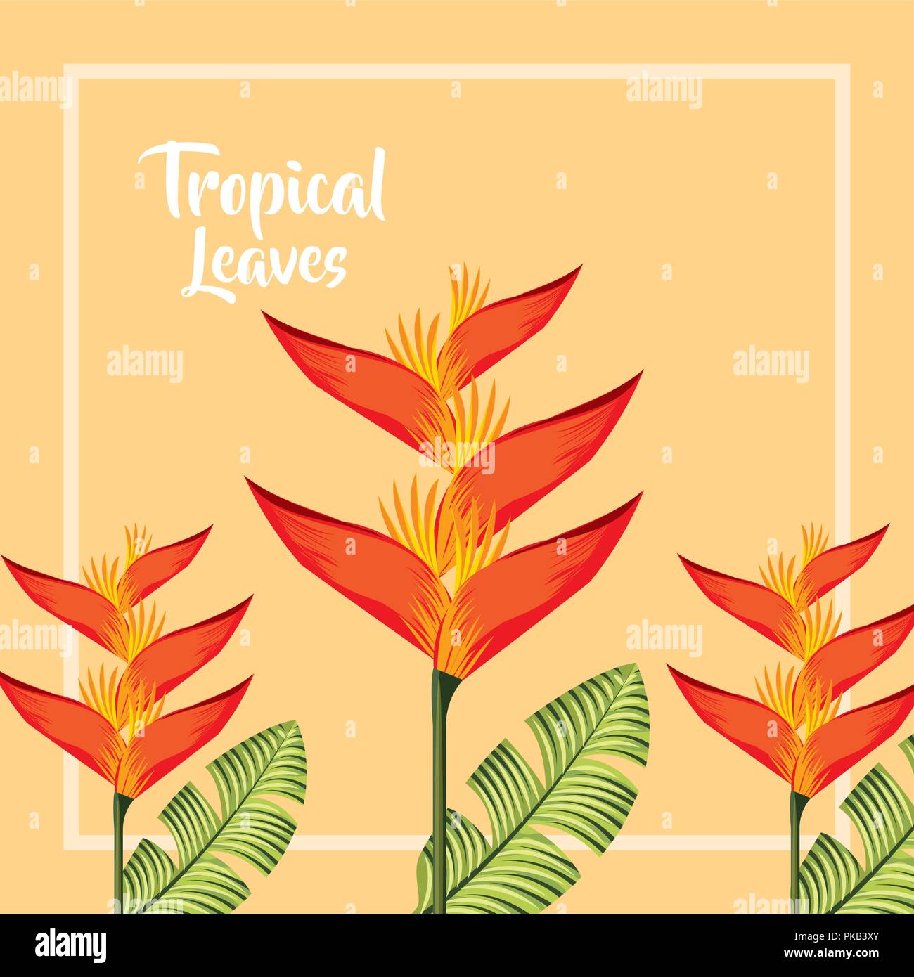 tropical leaves frame sign heliconia flowers vector illustration Stock ...