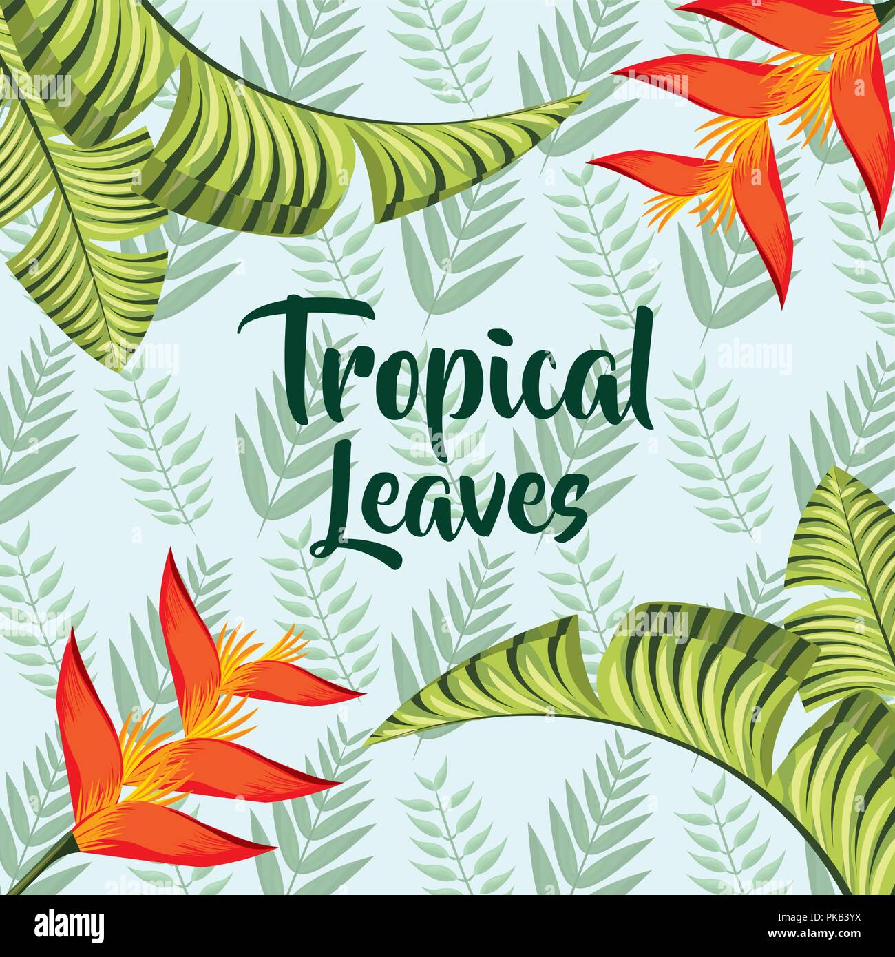 tropical leaves heliconias plants background vector illustration Stock ...