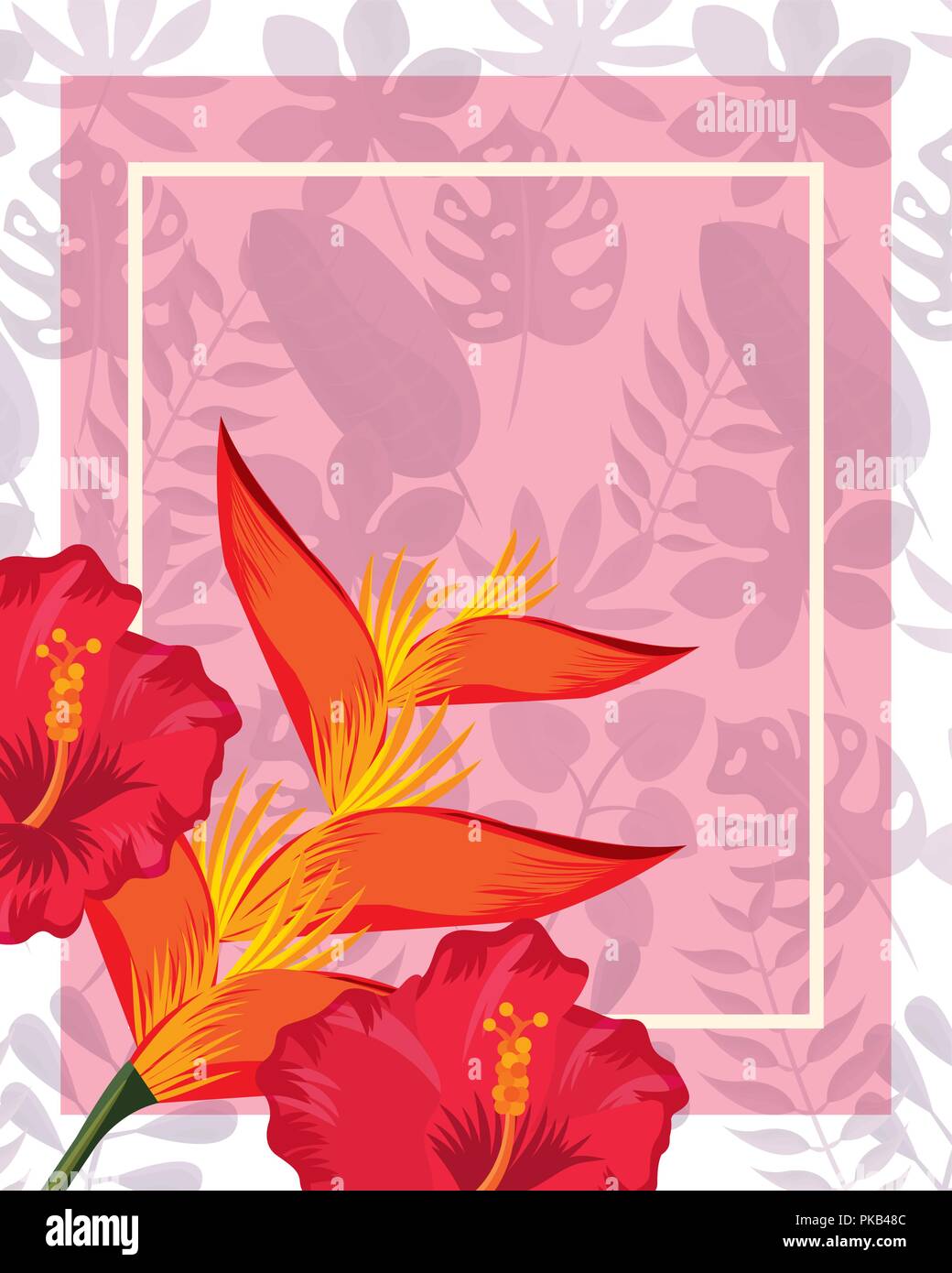 tropical leaves frame heliconia flowers colors vector illustration ...