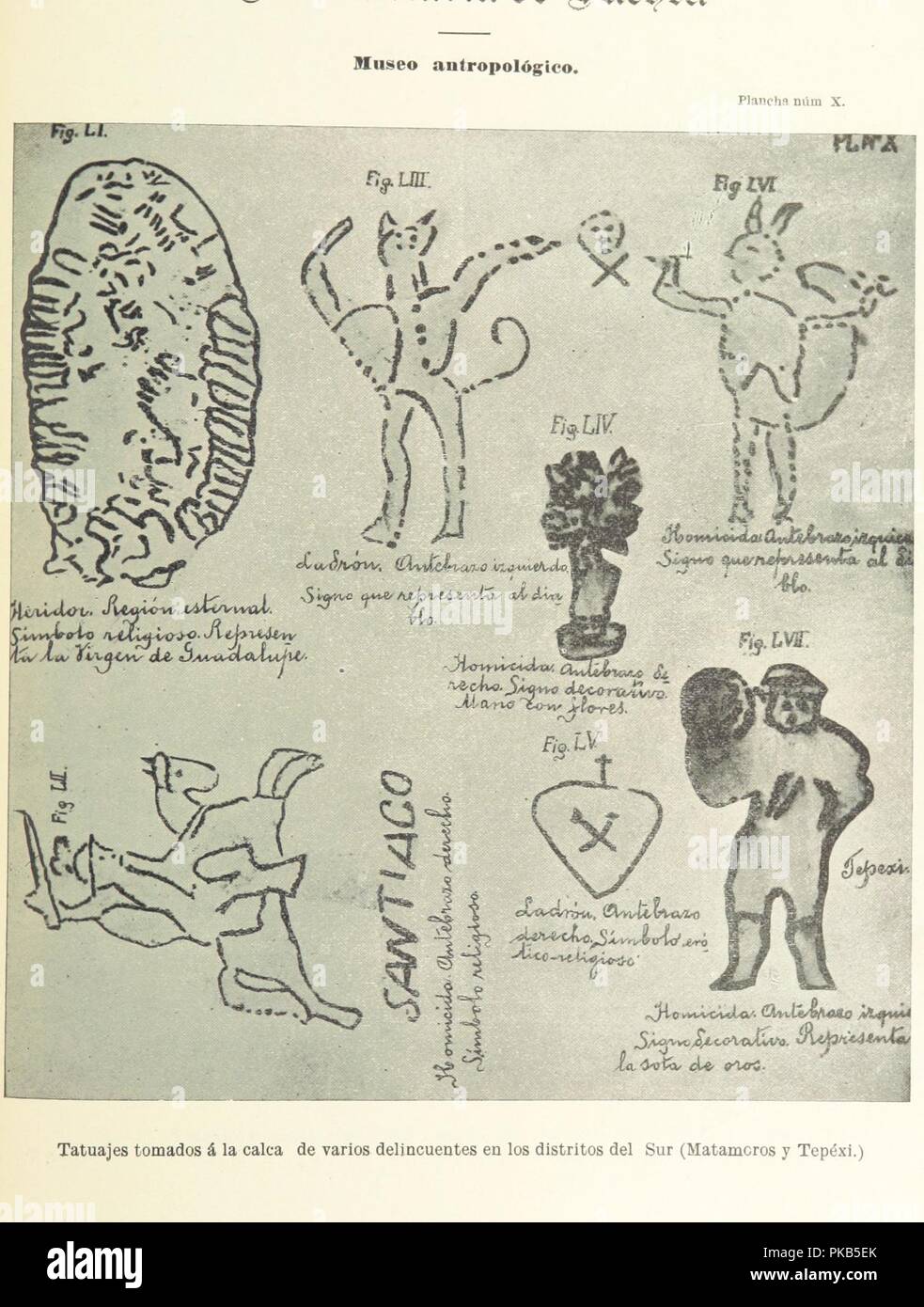 Image  from page 341 of 'Los Tatuages. Estudio psicológico y médico-legal en delincuentes y militares' . Stock Photo