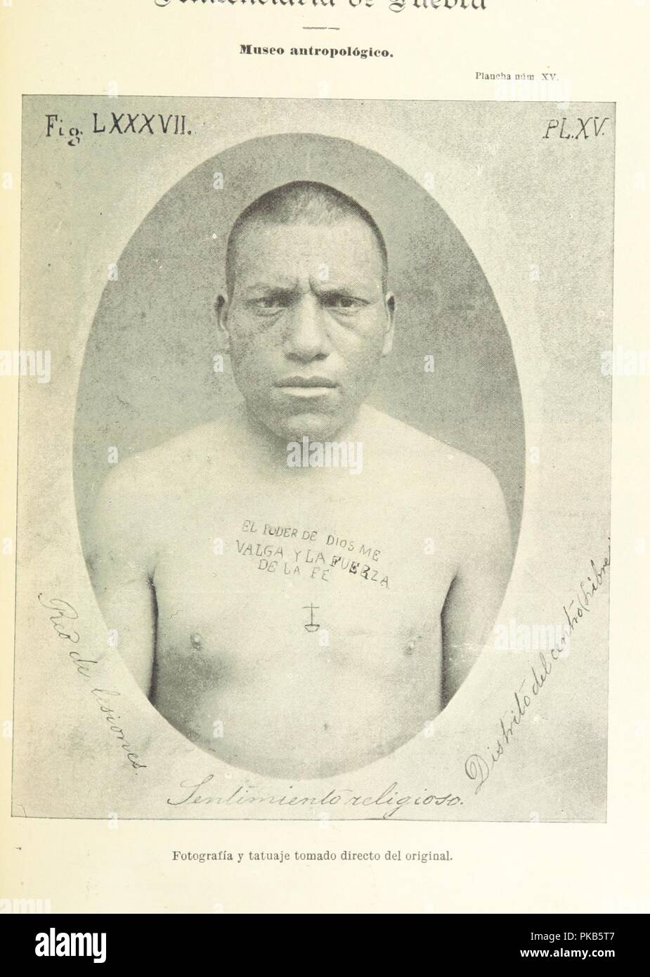 Image  from page 351 of 'Los Tatuages. Estudio psicológico y médico-legal en delincuentes y militares' . Stock Photo