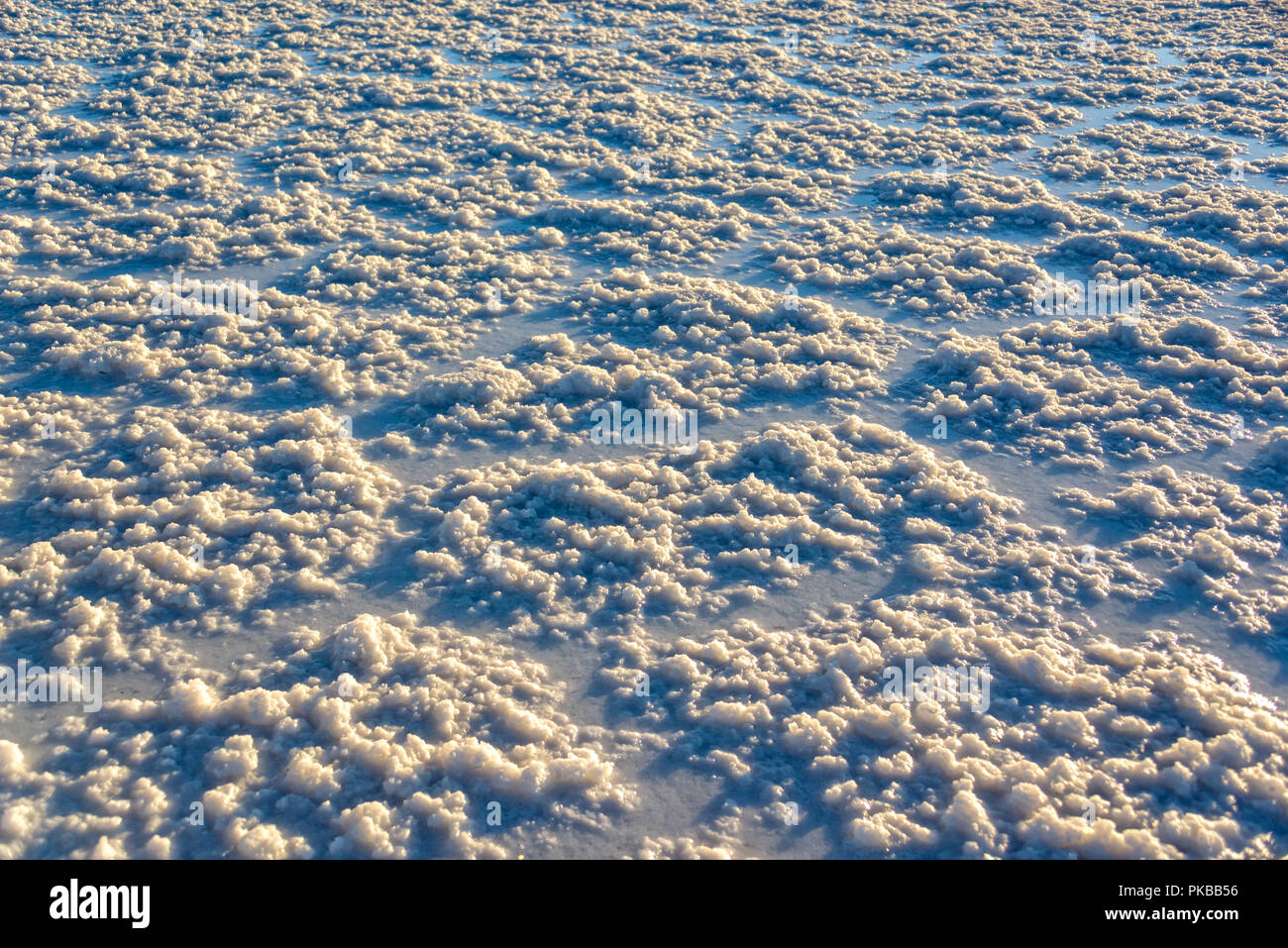 Detail of the salt in Salar de Uyuni (Uyuni salt flats), Potosi, Bolivia, South America Stock Photo