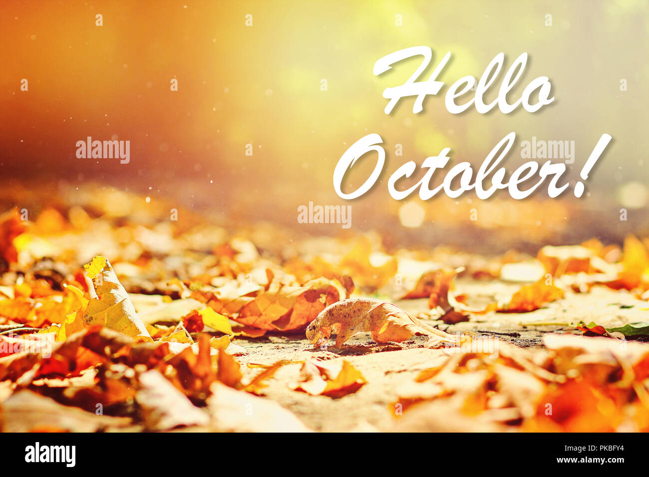 Fashion style October Hello photography pictures for girls Fashion style October Hello photography pictures for girls