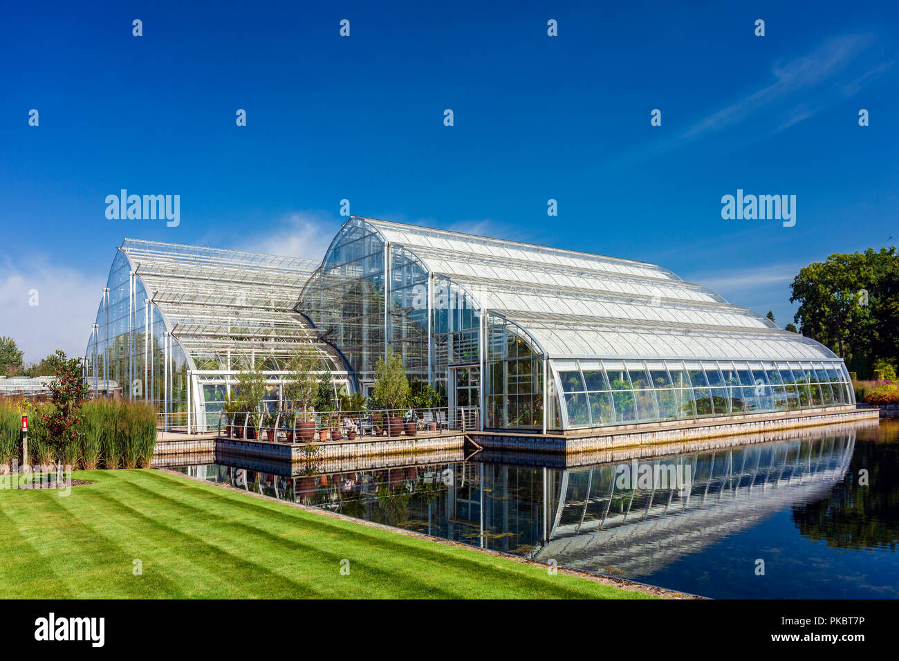 The RHS Wisley gardens glasshouse Stock Photo Alamy