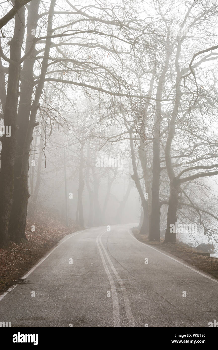 Road fog low clouds autumn hi-res stock photography and images - Alamy