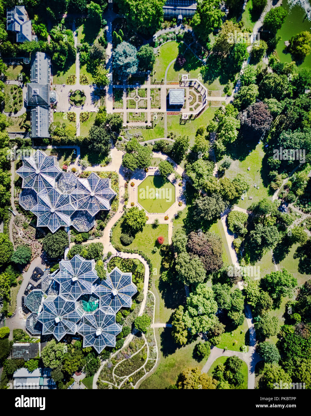 Palm garden park in Frankfurt on Main, Germany. Stock Photo