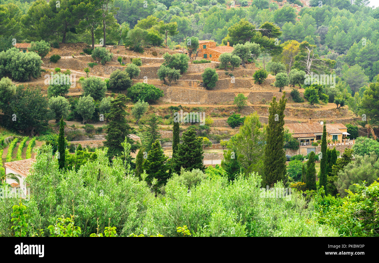 View of mediterranean terraced mountain landscape Stock Photo