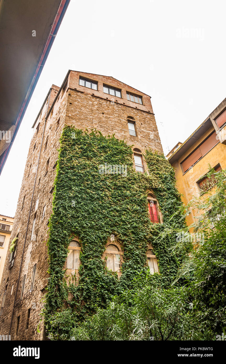 A tall old brick tower with vine growing up it in Florence (Firenze), Italy Stock Photo