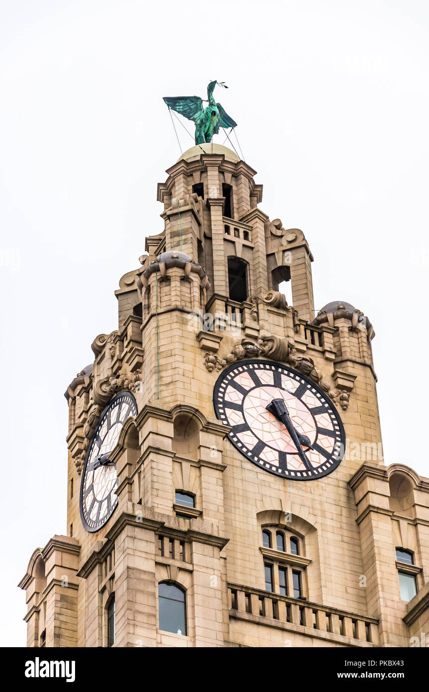 The royal liver building clock close up hires stock photography and images Alamy
