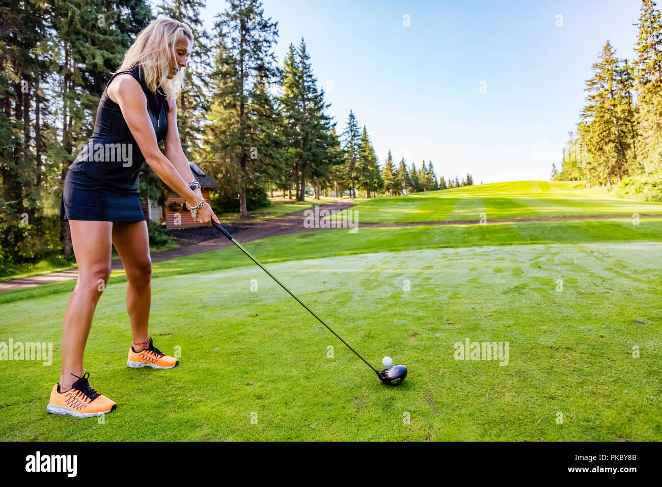 A female golfer lines up her driver to the golf ball on the tee with a view  of the fairway in the distance; Edmonton, Alberta, Canada Stock Photo -  Alamy