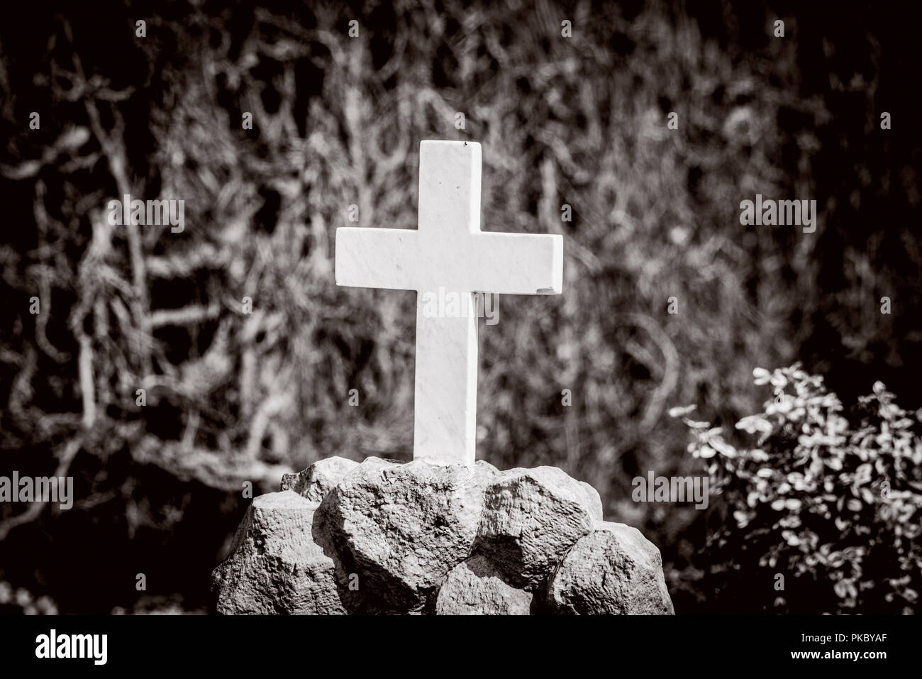 White cross on a tomb in sepia colors on a graveyard Stock Photo