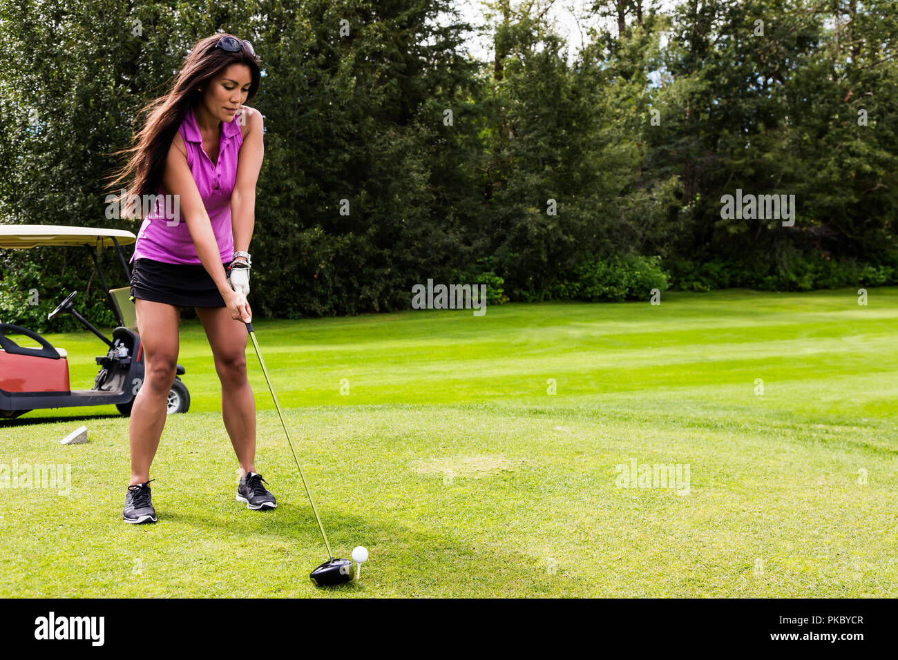 A female golfer lines up her driver to the golf ball as she sets up her shot on a tee; Edmonton, Alberta, Canada Stock Photo