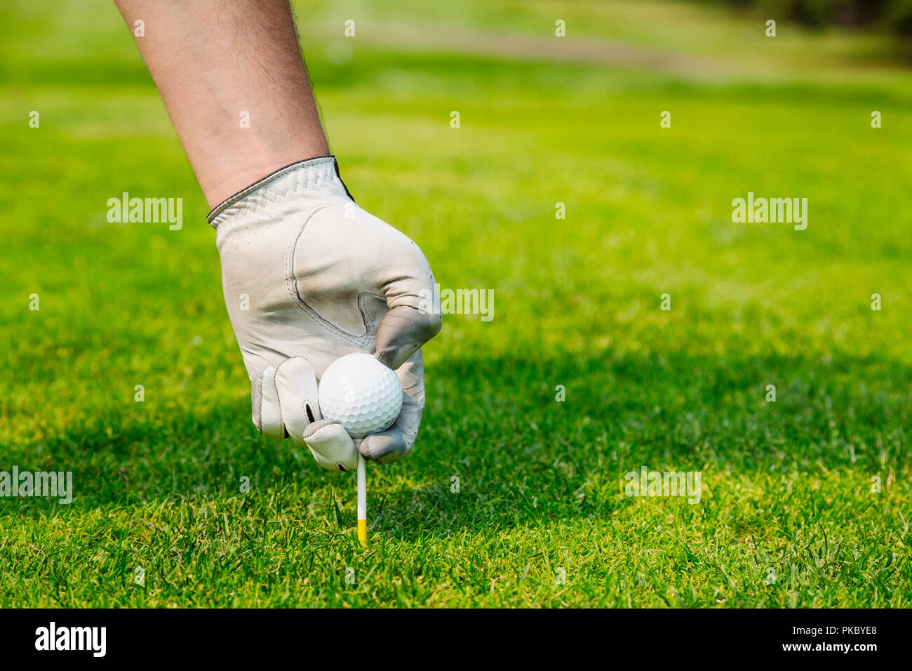 Close up detail of golfers hand holding golf ball hires stock