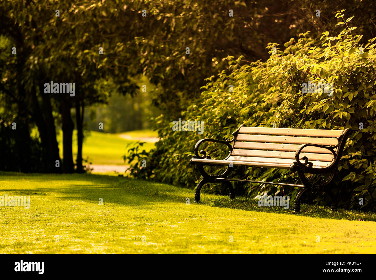 An empty park bench on a beautiful fall evening with golden sunlight; Edmonton, Alberta, Canada Stock Photo