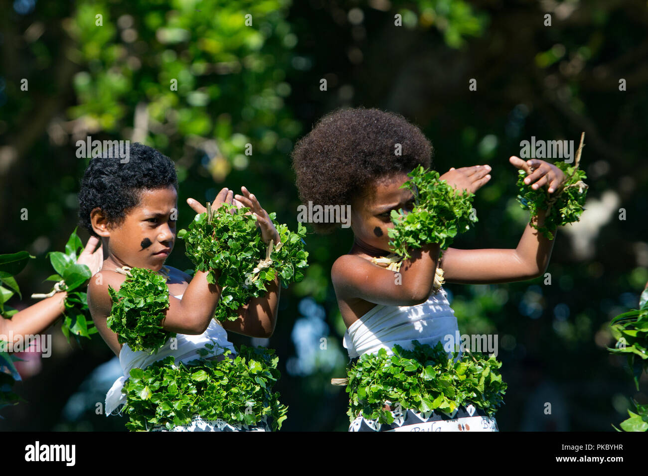The villagers of Waitabu village in Taveuni island, Fiji put on a traditonal kava ceremony for a group of cultural tourists. Stock Photo