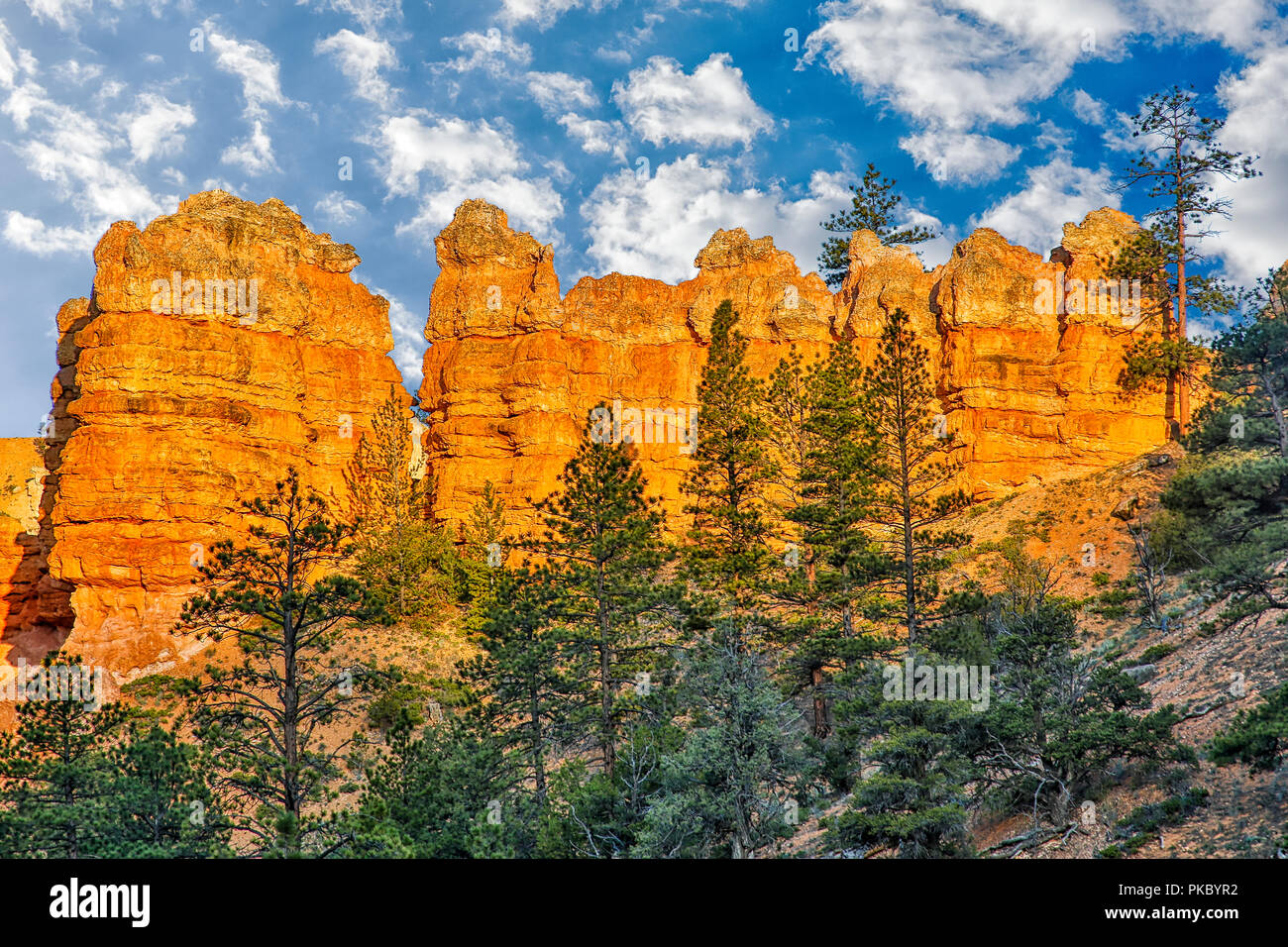Sandstone spires, Bryce Canyon National Park; Utah, United States of America Stock Photo