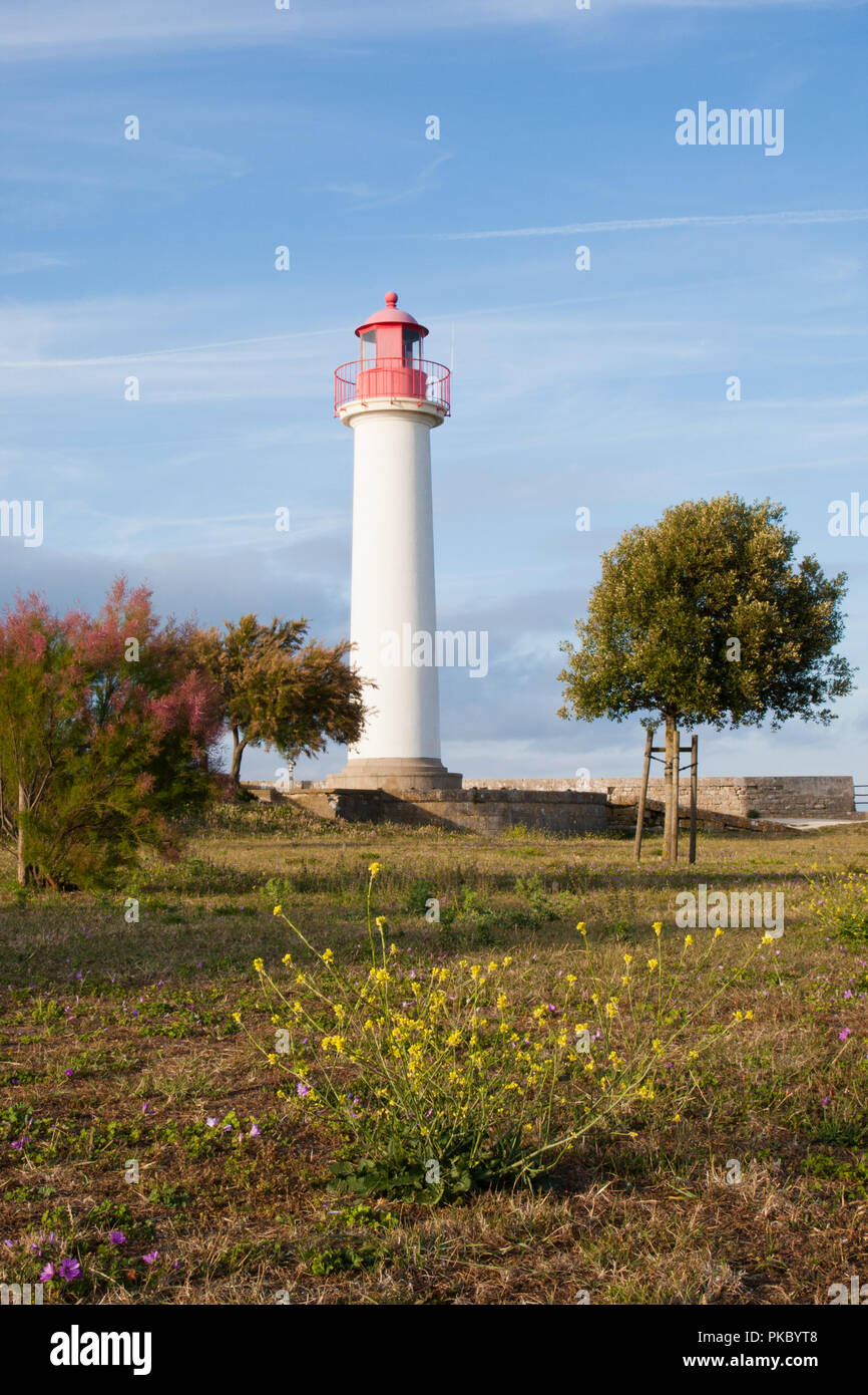 Lighthouse with lawn, trees and yellow flowers. Stock Photo