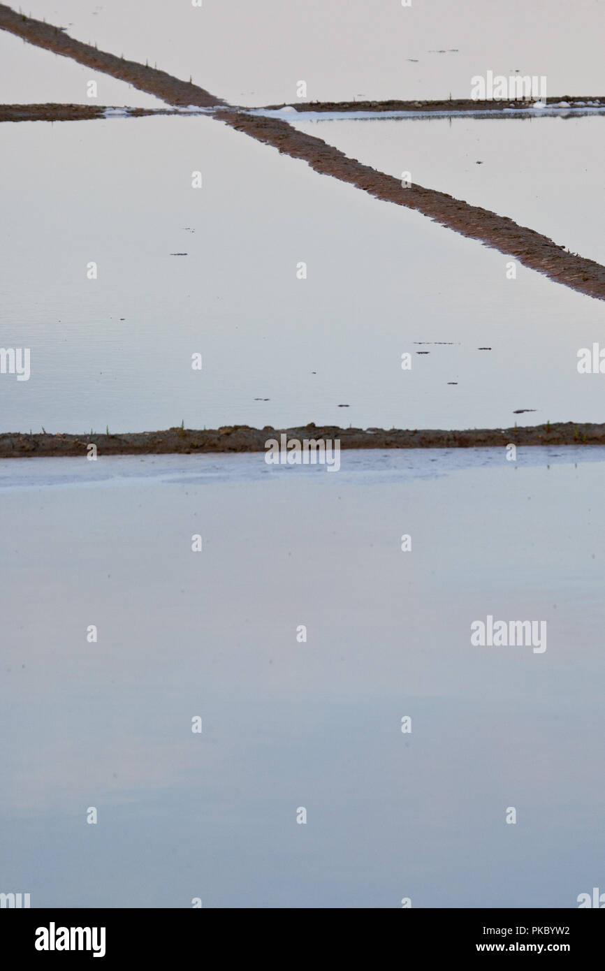 Salt swamp reflections with blue hues Stock Photo