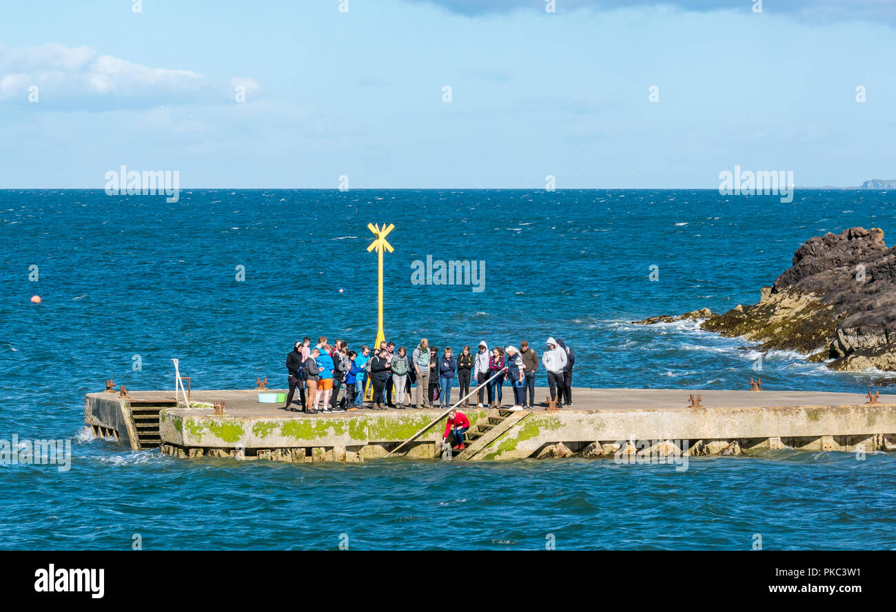 North Berwick, East Lothian, Scotland, UK, 12th September 2018. UK Weather: A beautiful sunny day on the Eastern Scottish coastline in the Firth of Forth. Students from Stirling University visit the North Berwick harbour lobster hatchery and release a lobster into the Firth of Forth from the jetty Stock Photo