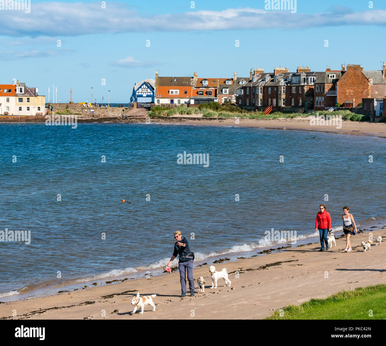 Dog walkers on scottish beach hires stock photography and images Alamy