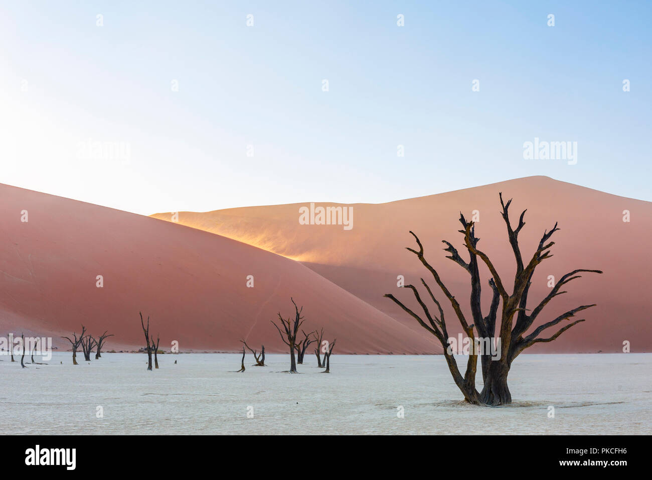 Deadvlei dawn hi-res stock photography and images - Alamy