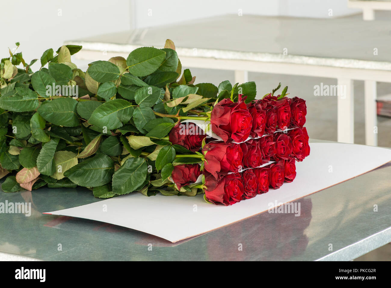 Packing flowers hires stock photography and images Alamy