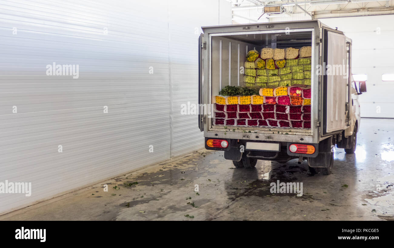 Opened back doors of the truck loaded with rose flowers. Loading