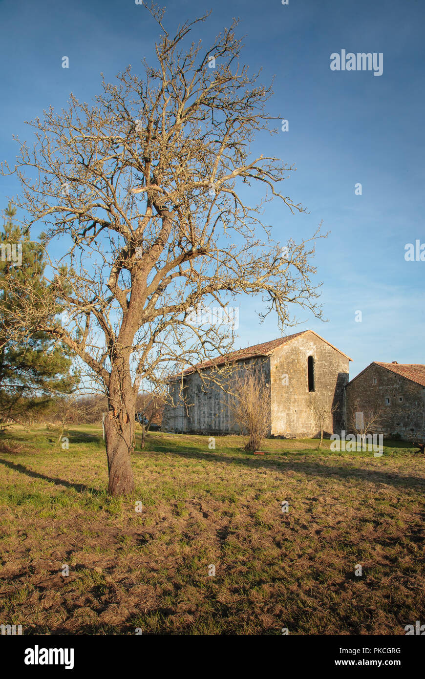 Rozet hi-res stock photography and images - Alamy