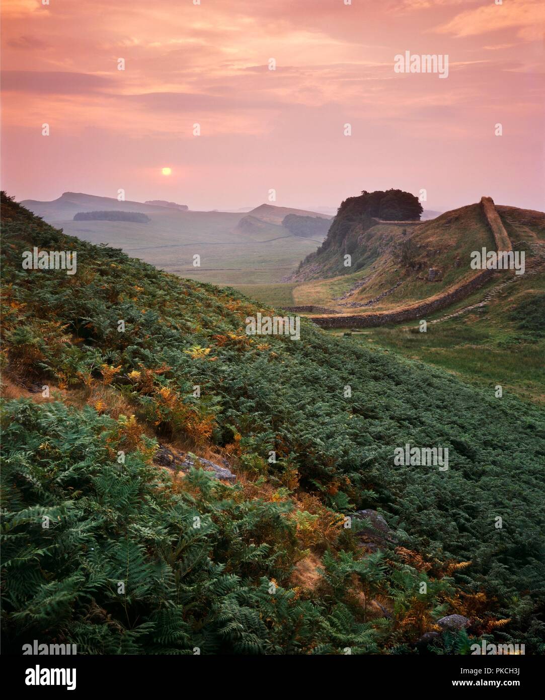 Hadrian's Wall, Northumberland, 2010. Artist Paul Highnam Stock Photo