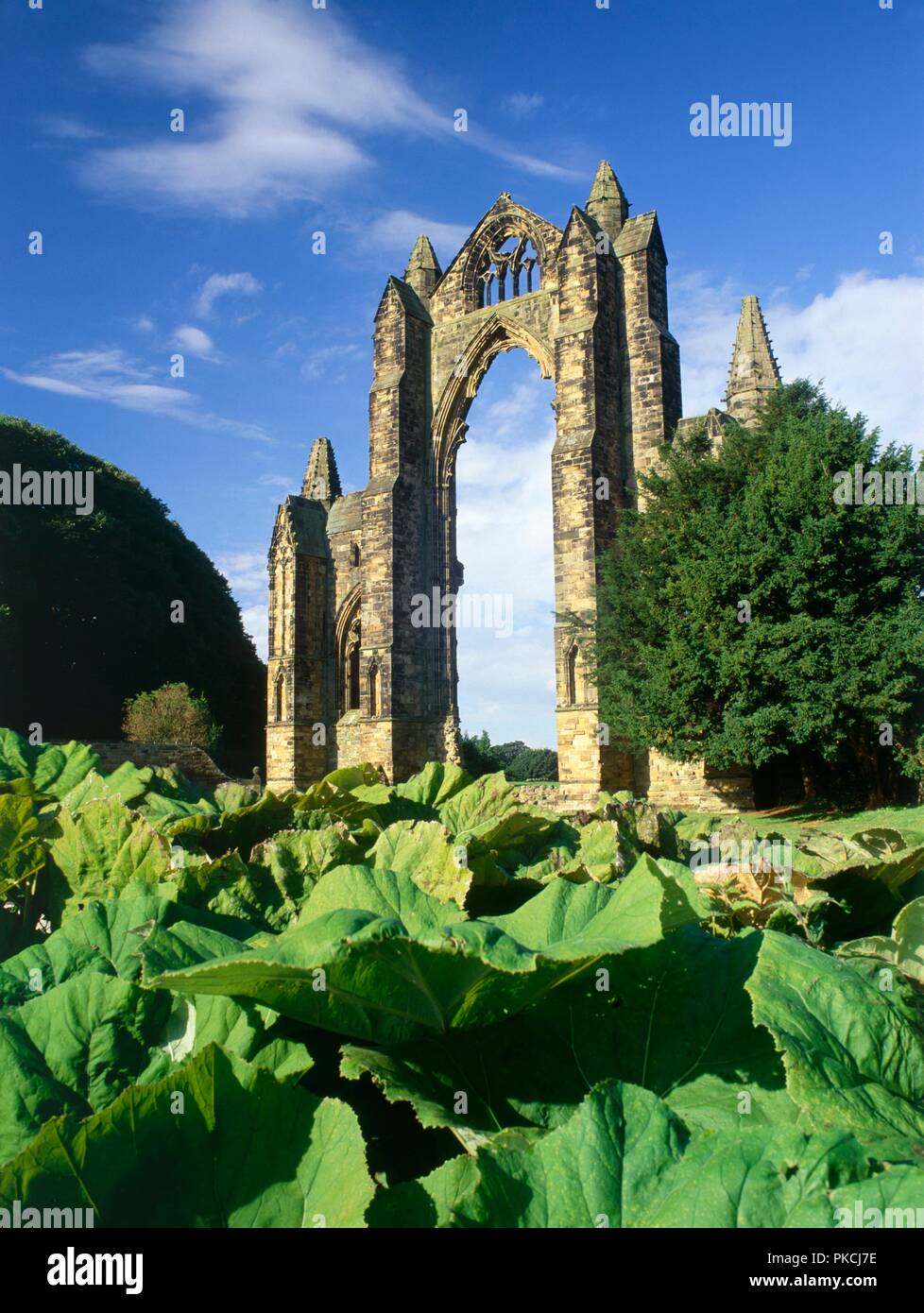 Gisborough Priory, Redcar and Cleveland, 2010. Artist: Mike Kipling. Stock Photo