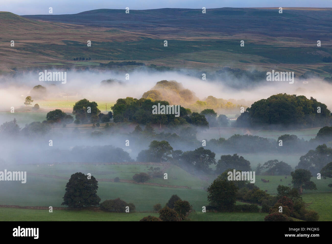 Early Morning Light Illuminating Mist in the Tees Valley, Viewed From Whistle Crag Towards Crossthwaite Common, Middleton-in-Teesdale, County Durham,  Stock Photo