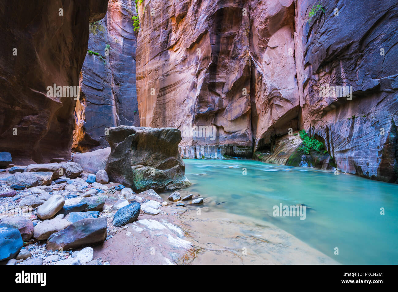 Zions National Park High Resolution Stock Photography and Images - Alamy