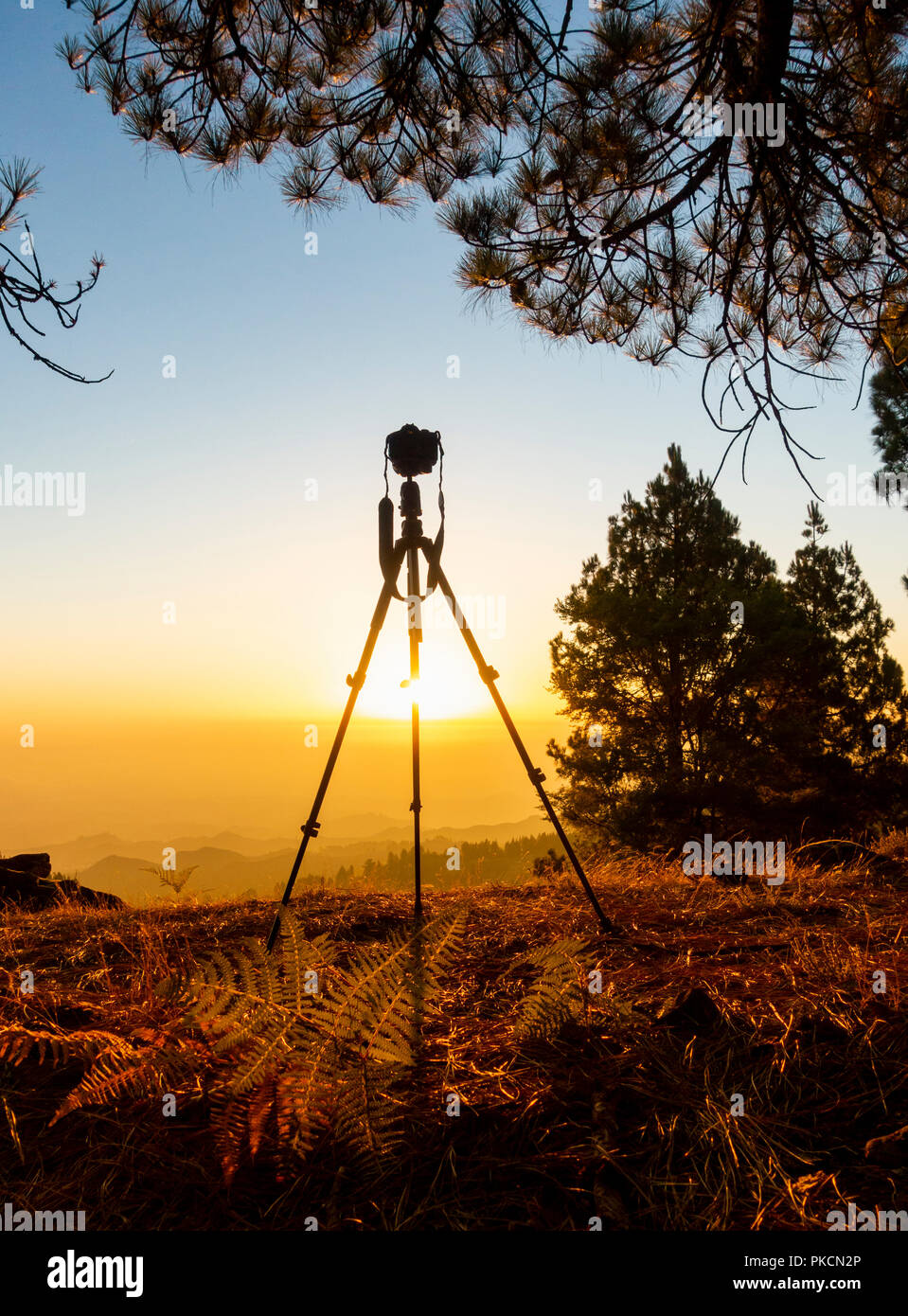 Camera on tripod on mountain at sunrise Stock Photo - Alamy