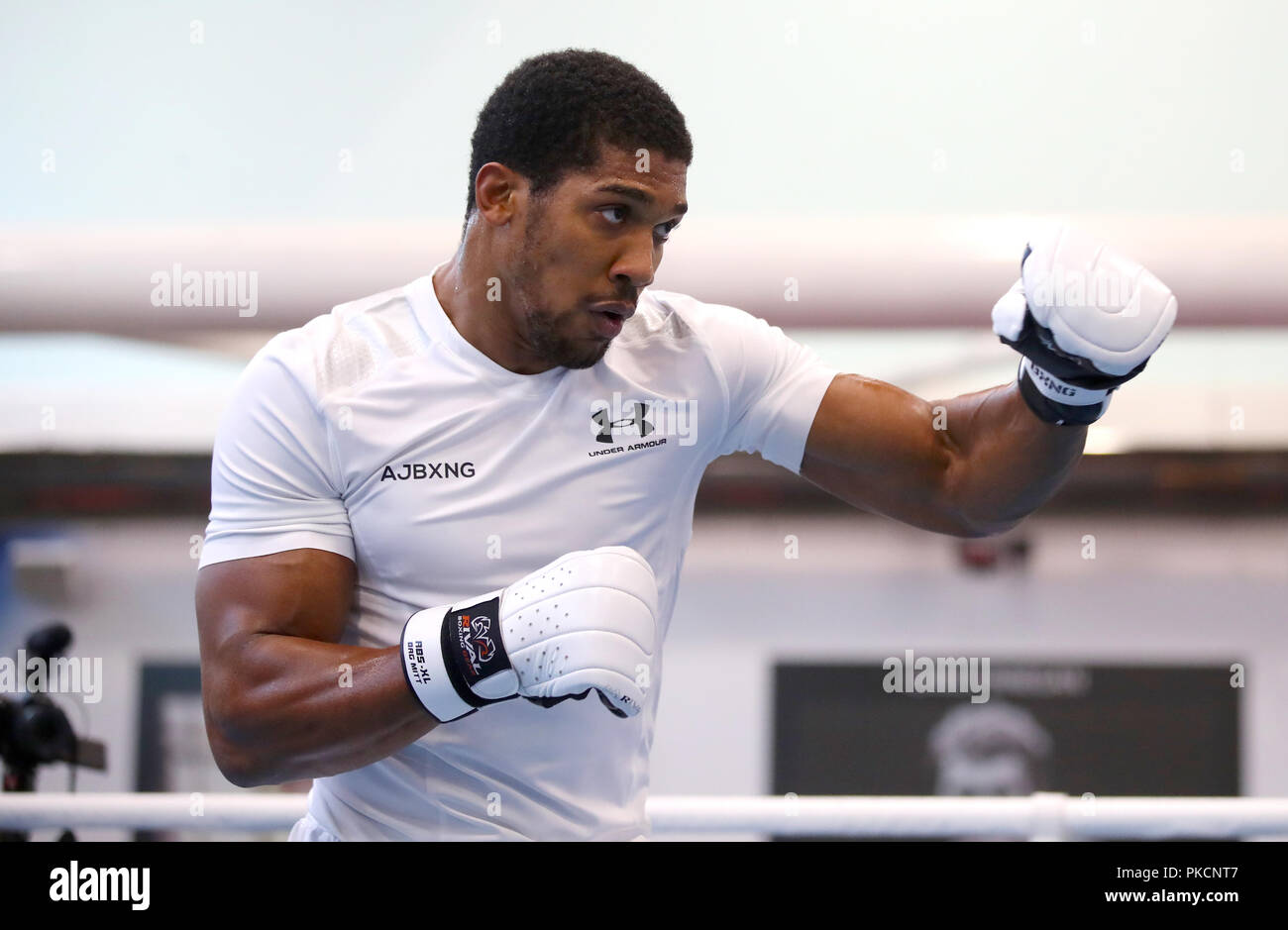 Anthony Joshua during a media workout at The English Institute of Sport, Sheffield PRESS ASSOCIATION Photo. Picture date: Wednesday September 12, 2018. See PA story BOXING Joshua. Photo credit should read: Nick Potts/PA Wire Stock Photo