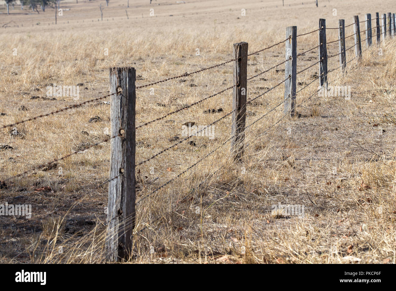 old barbed wire fence