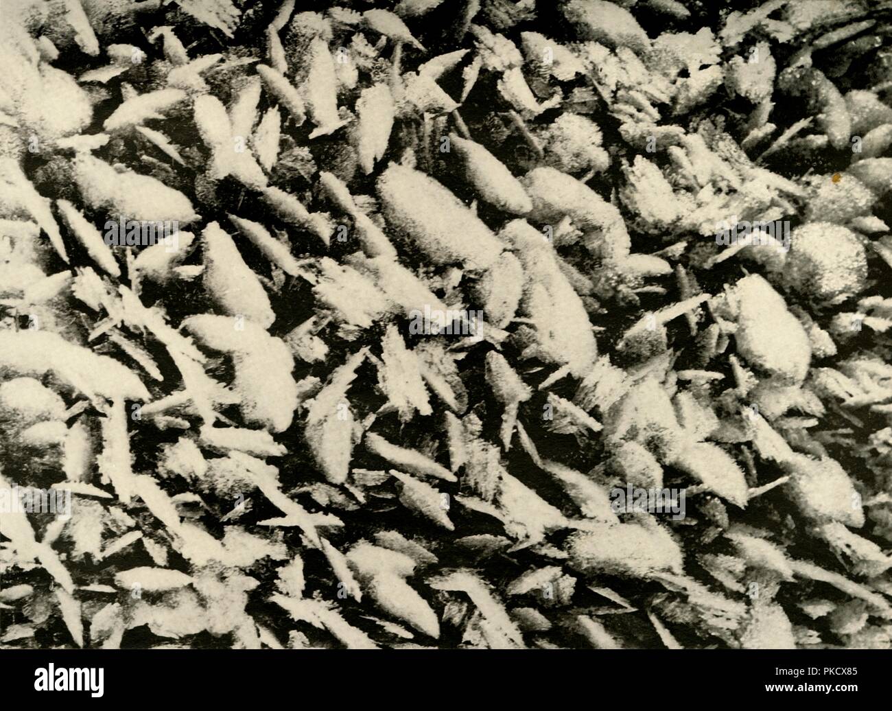 'Ice Crystals on roof of the Hut Porch', c1908, (1909). Artist: Unknown. Stock Photo
