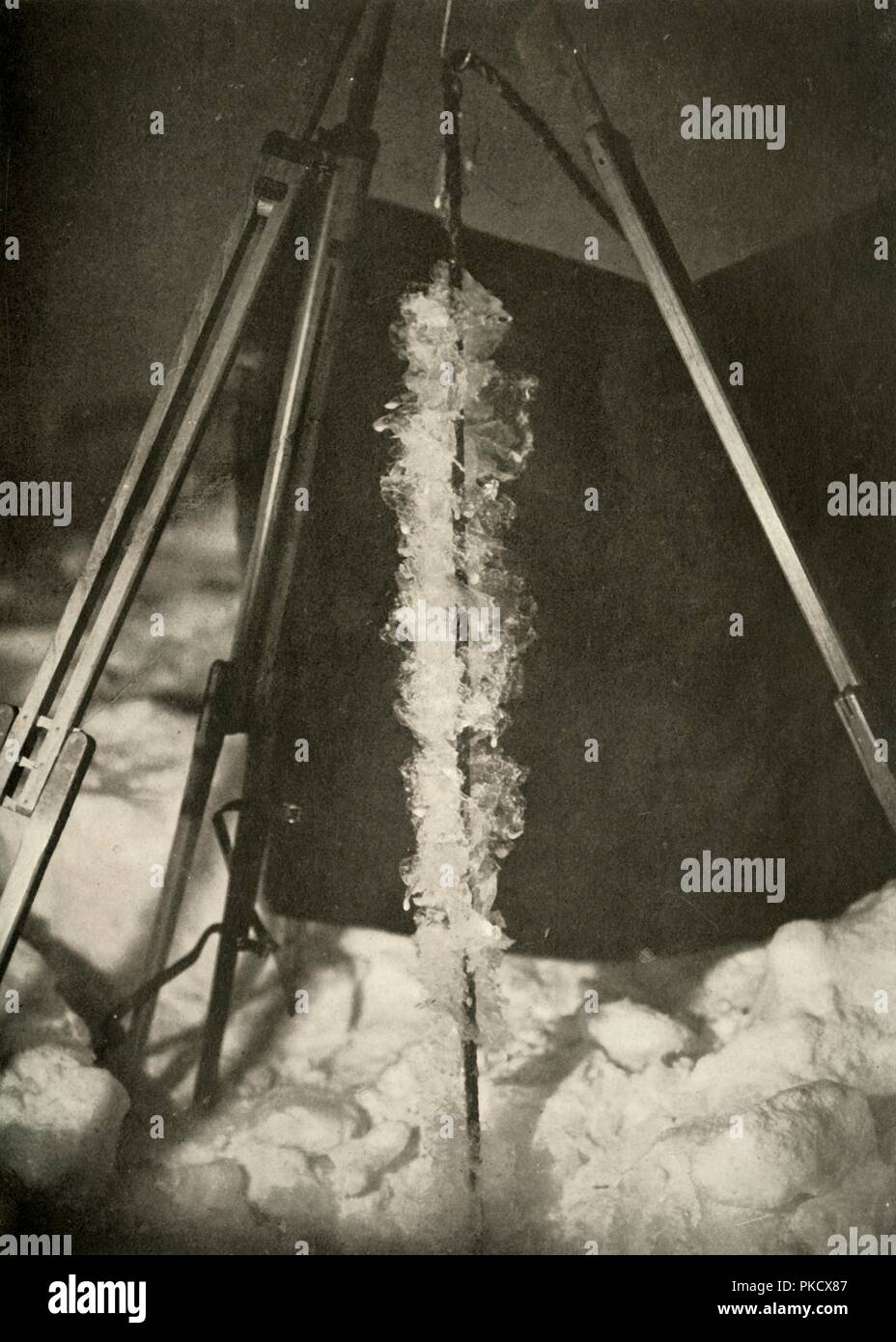 'Ice Crystals Formed on the Line of a Fish Trap', c1908, (1909). Artist: Unknown. Stock Photo