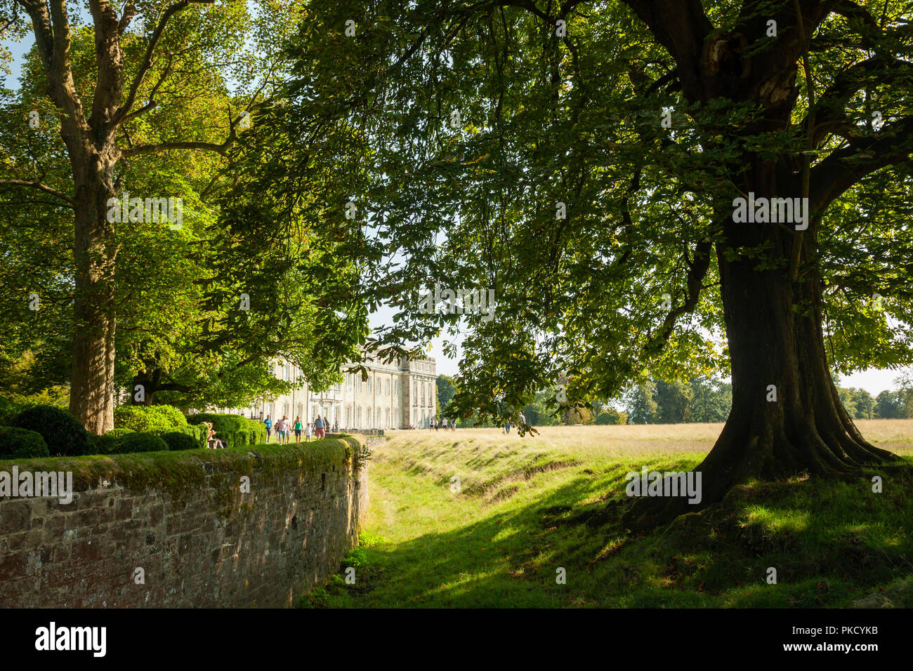 Summer afternoon in Petworth Park, West Sussex, England. Stock Photo