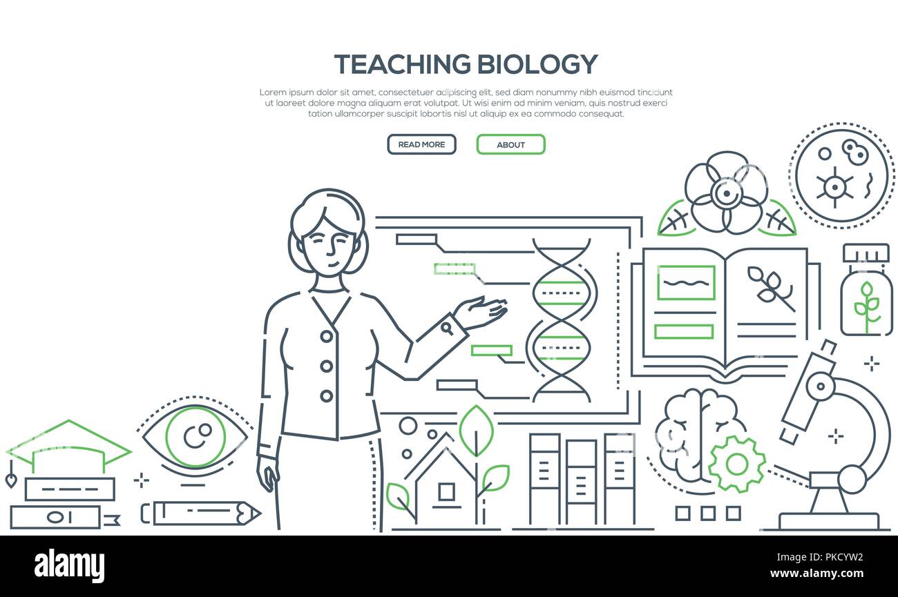 Teaching biology colorful line design style banner Stock Vector Image